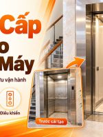 nâng cấp cải tạo thang máy