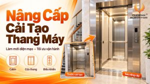 nâng cấp cải tạo thang máy