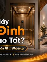 thang máy gia đình loại nào tốt