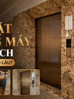 thời gian lắp đặt thang máy tải khách