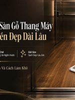 vệ sinh sàn gỗ thang máy