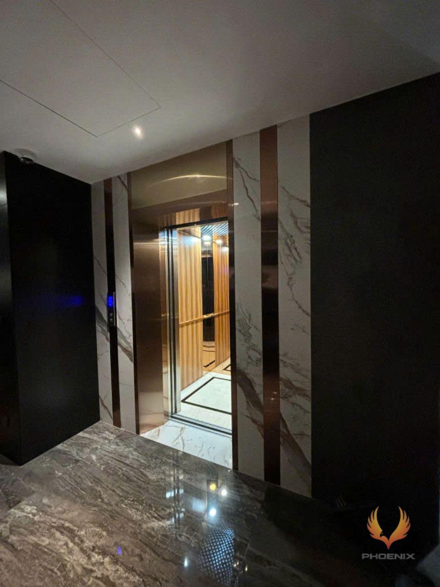 Thang máy gia đình HCM