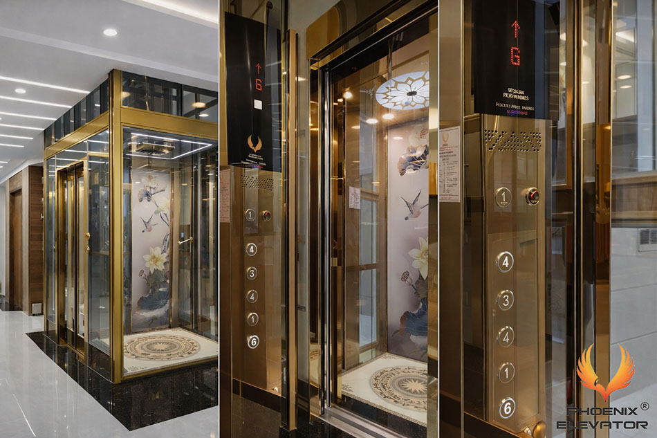 thi công thang máy cửa kính