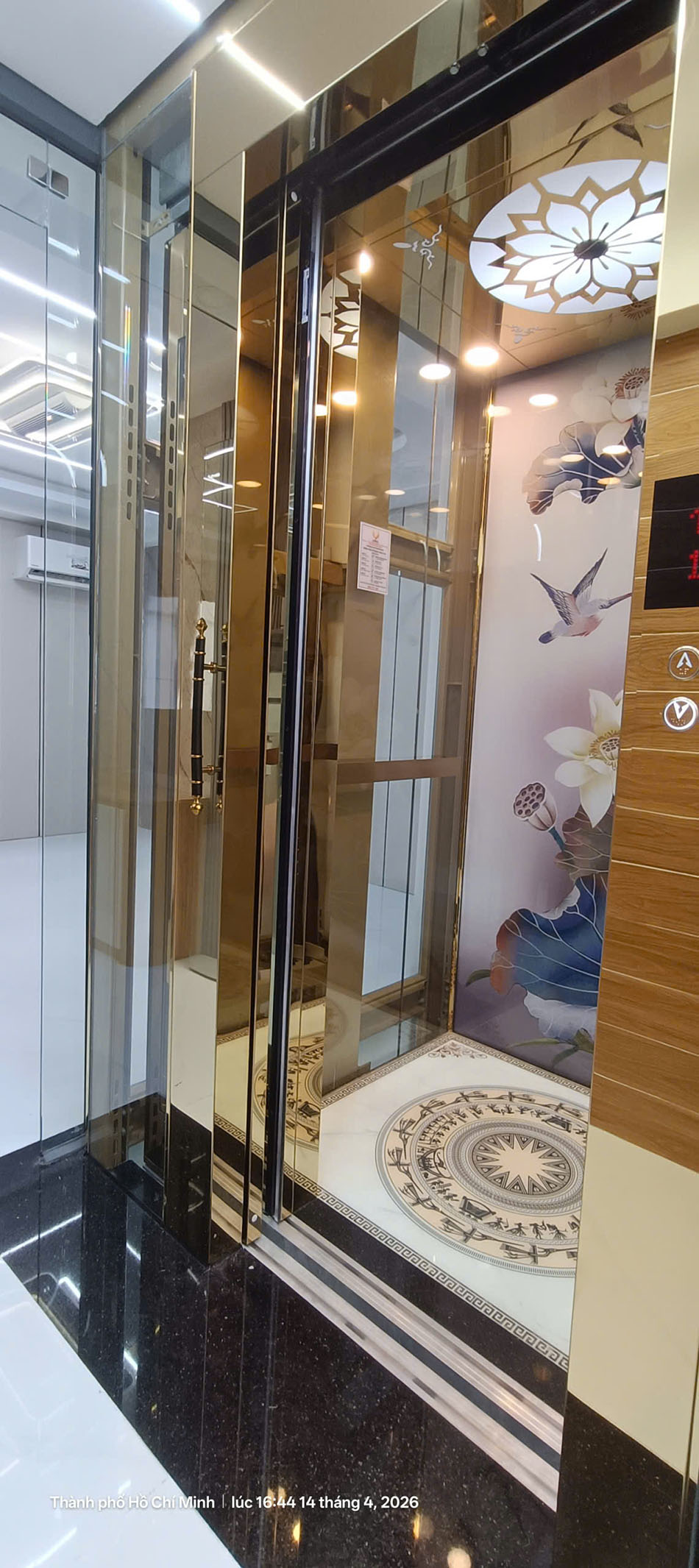 Thang máy quan sát Phụng Hoàng Thang máy quan sát