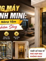 LẮP ĐẶT THANG MÁY QUAN SÁT