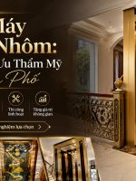thang máy khung nhôm