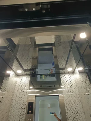 Trần cabin gương tối và đèn LED âm trần của thang máy tải khách Phụng Hoàng TK07 tại công trình thực tế