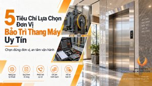 đơn vị bảo trì thang máy uy tín