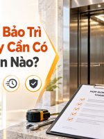 hợp đồng bảo trì thang máy