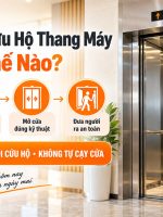 quy trình cứu hộ thang máy