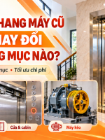 nâng cấp thang máy